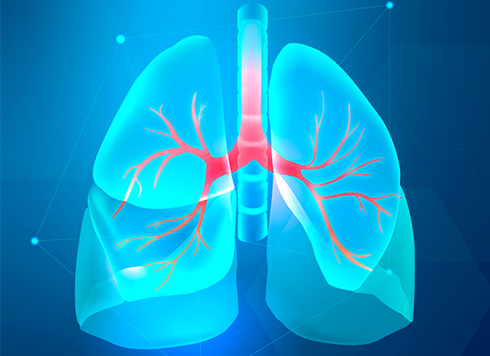 International Conference on Pulmonology and Respiratory Diseases