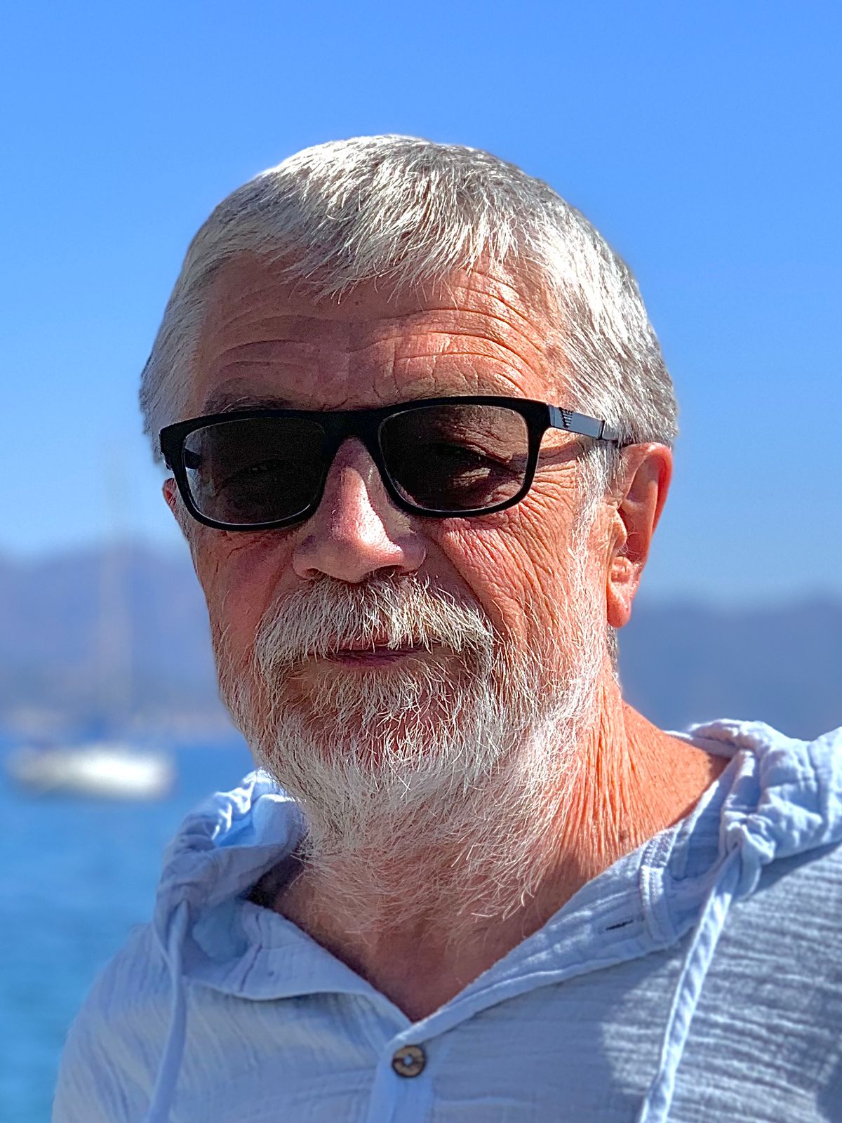 Vladimir V. Egorov